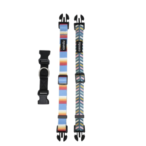 Candu Switch Dog Collar